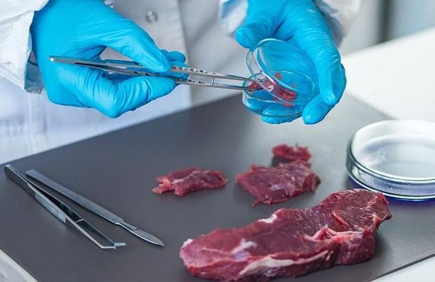 Süni ət gəlir, fermer gedir? Dilemma – Ağa Salamovdan XƏBƏRDARLIQ