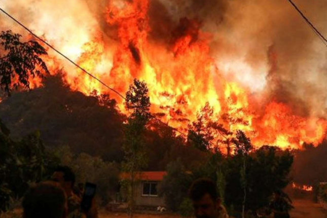 Cəlilabaddakı yanğın məhdudlaşdırıldı