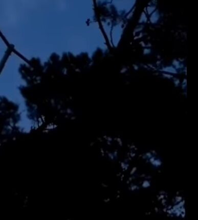 Nizami rayonunda uşaq parkı zülmət içində – Video