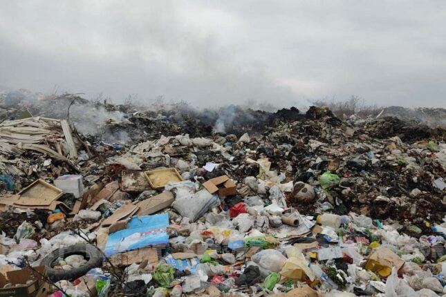 Polis sahilyanı əraziləri zibilliyən 20 nəfəri cərimələyib