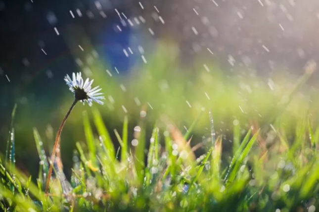 Sabah bəzi yerlərdə yağış yağacaq