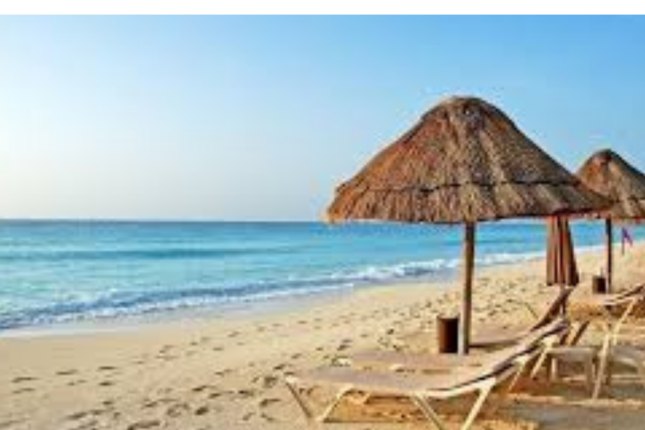 Nabran çimərliyi çirkab bataqlığında: Kanalizasiya sistemi niyə qurulmur? (VİDEO)