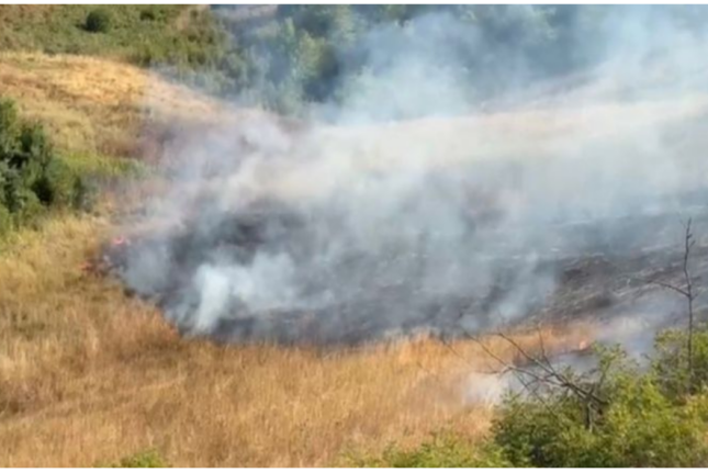 Xocavənddə yanğına səbəb olan şəxslər saxlanıldı