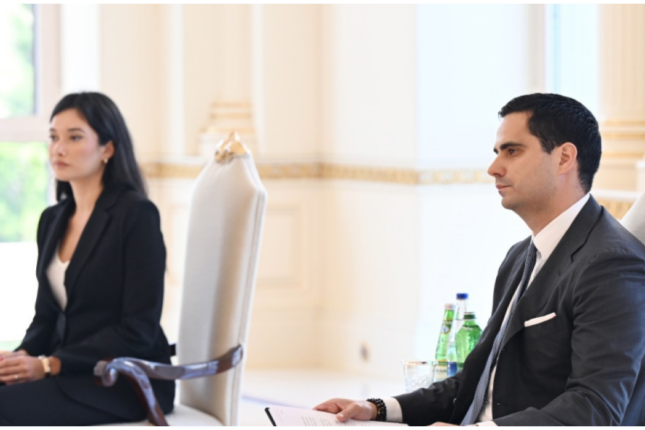 Yeni təyin olunan səfir bu deputatın qohumudur