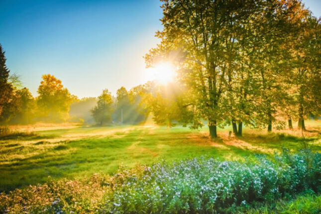 Sabahın havası: 38 dərəcə İSTİ