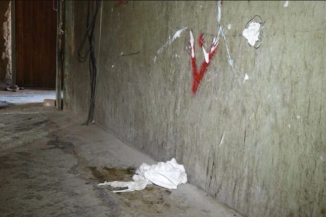 “Qızım gördü ki, atasını öldürür” – Gəncədə baş verən ailə münaqişəsinin DETALLARI