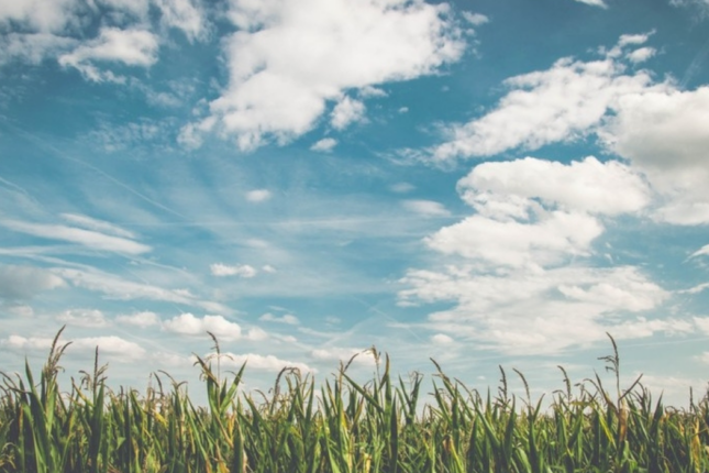 Temperatur aşağı düşəcək – Bu tarixdən…