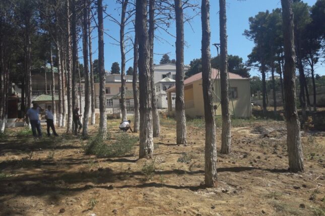 İki rayonda təbiətə 18 min manatdan çox ziyan vuruldu