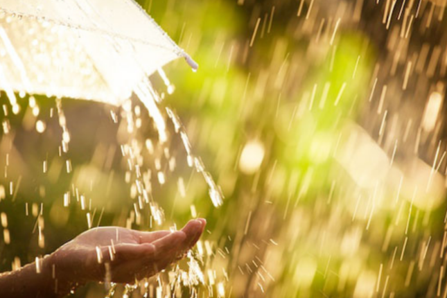 Bu rayonlara leysan yağır