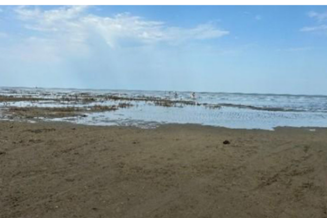 Azərbaycanın bu ərazisində dəniz – 2 km geri çəkilib