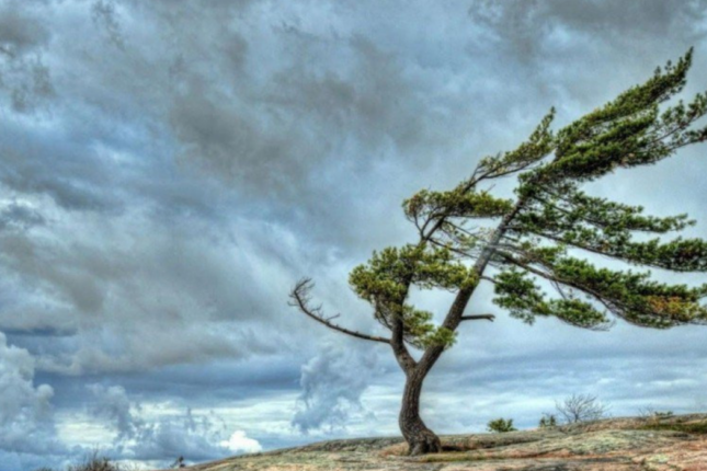 Küləkli hava nə vaxta qədər davam edəcək?