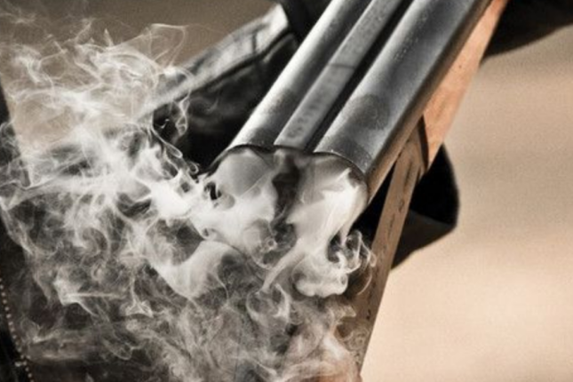 Laçında qardaş qardaşı ov tüfəngi ilə qətlə yetirdi