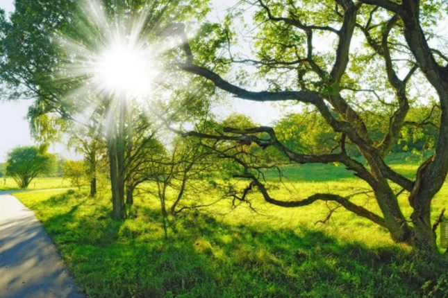 Sentyabrda hava necə olacaq? – Aylıq proqnoz açıqlandı