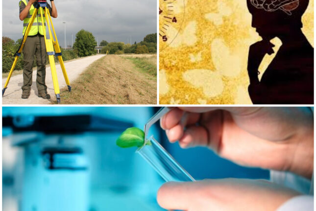 Bu ixtisaslara qəbul olunanlar iş tapa bilmir