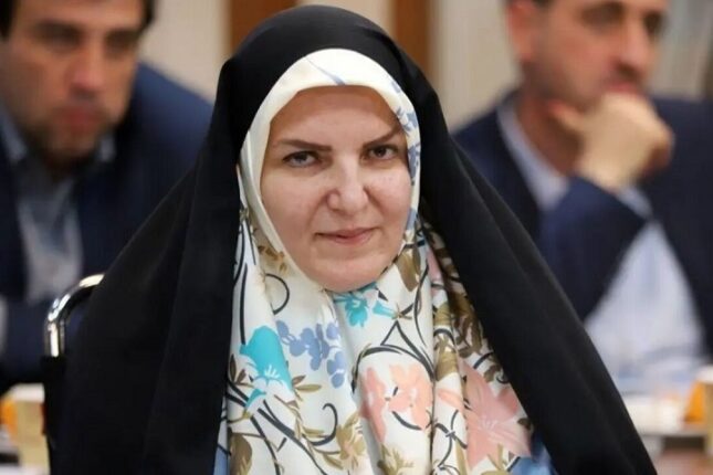 Prezidentin müşaviri: “Araz dəhlizinin imkanlarını artıracağıq”