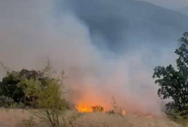 Zəngilanda yanğın törədən şəxs müəyyən edildi