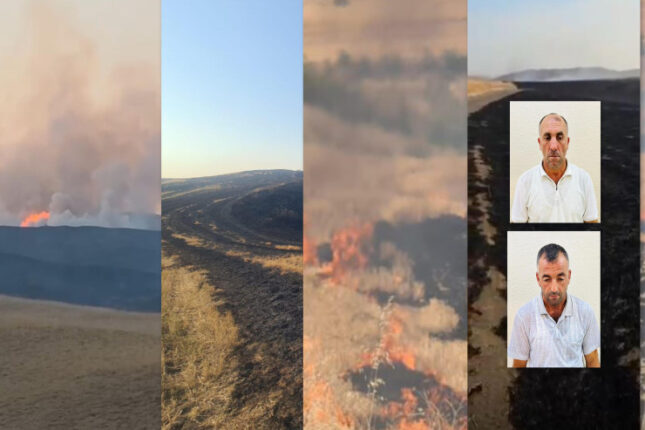 Şəkidə 860 hektar ərazini yandıranlar həbs olundu