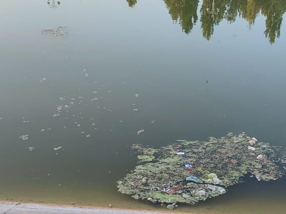Bərdənin mərkəzi parkında antisanitariya: Üfunət iyi gəlir (FOTO/VİDEO)