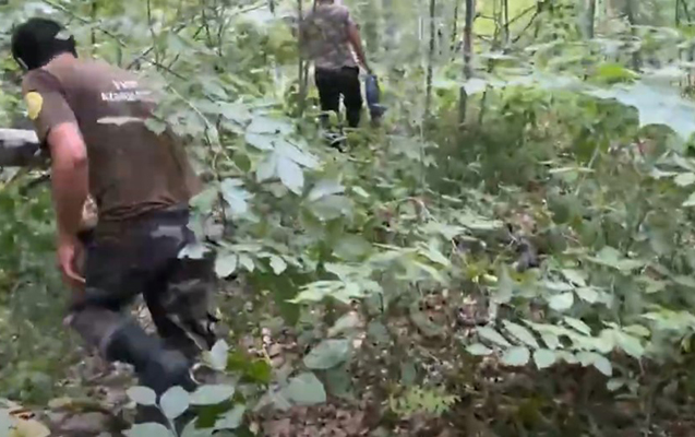 Meşədə itkin düşən şəxs tapıldı – Video