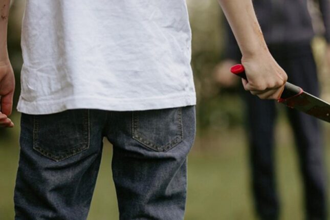 Azərbaycanda ötən il 14-17 yaşlı şəxslərin iştirakı ilə 279 cinayət törədilib