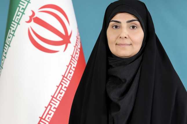 Naxçıvana yol Novruza kimi hazır olacaq