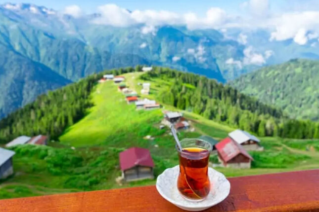 Türkiyənin payız möcüzələri: Bu əraziləri mütləq ziyarət edin (FOTO)