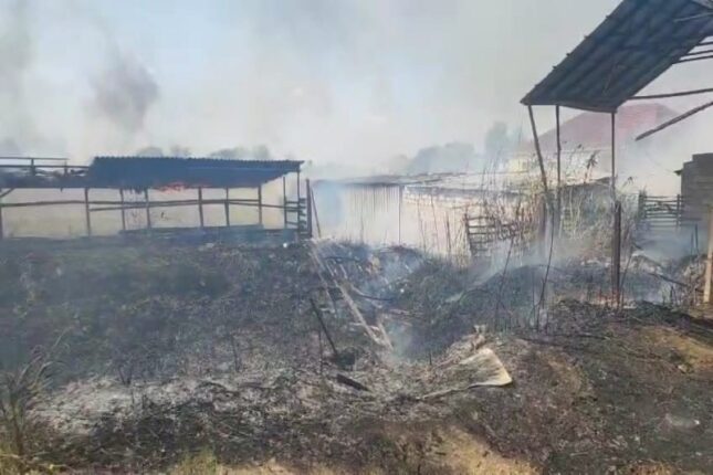 Beyləqanda yanğın törədən şəxs cərimə olunub