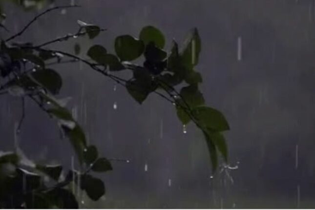 Leysan yağış, dolu yağacaq – Günün havası