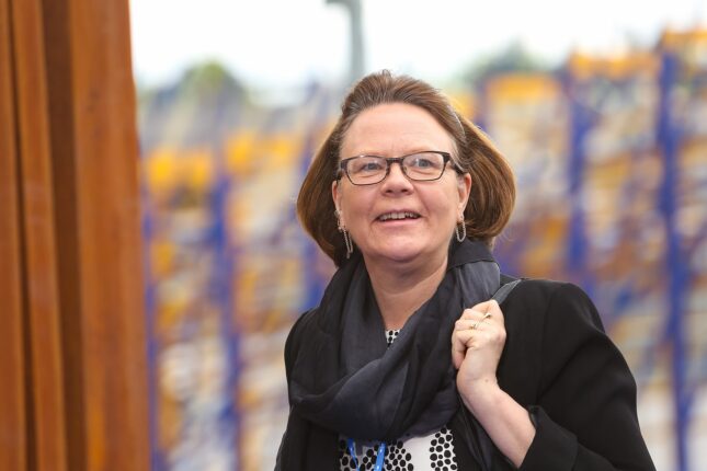 Fin səfirdən sarsaq “artsax” açıqlaması