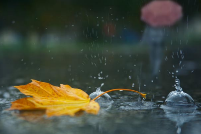 İstirahət gününün hava proqnozu açıqlandı