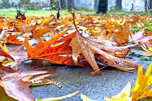 Sentyabrın sonuncu günü hava necə olacaq?