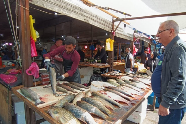 Balıq bazarında son vəziyyət: Kəskin artım var