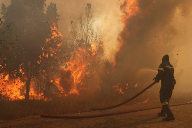 Qızılağac Milli Parkında YANĞIN
