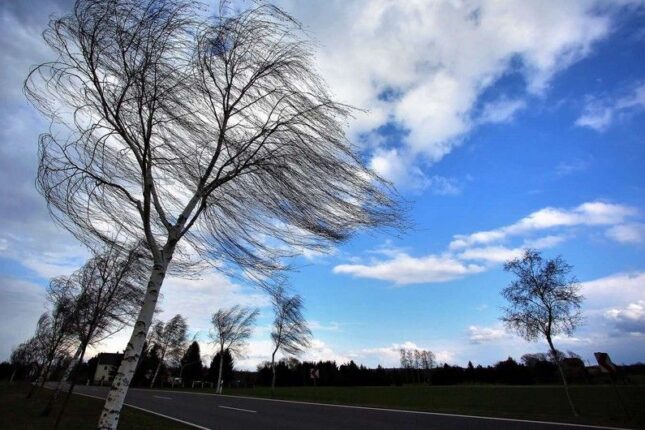 Küləkli hava şəraiti həftə sonunadək davam edəcək – XƏBƏRDARLIQ