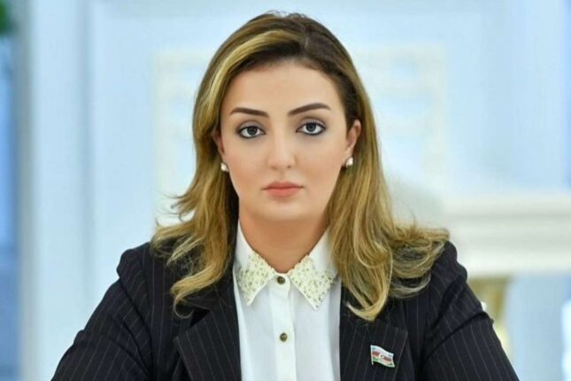 Millət vəkili istefa verdi – Bu federasiyanın bütün rəhbər heyəti getdi