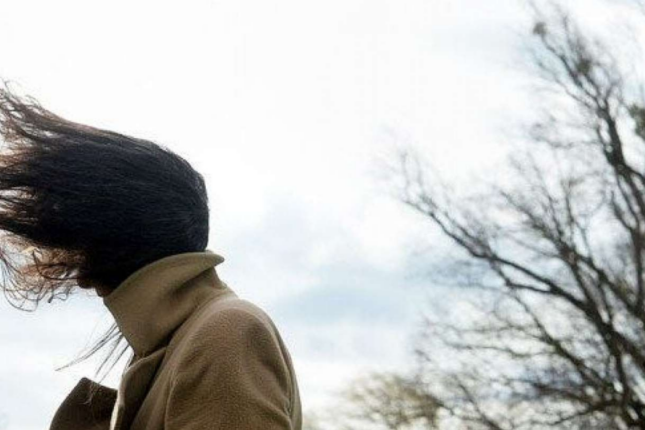 Güclü külək əsəcək – Sarı xəbərdarlıq