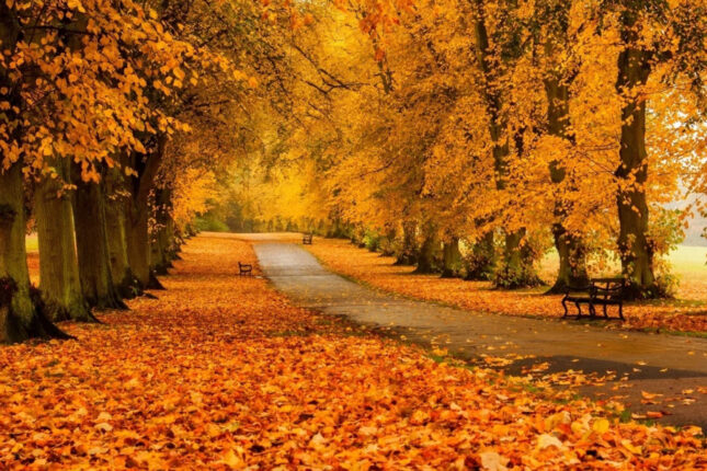 Azərbaycana payız gəldi