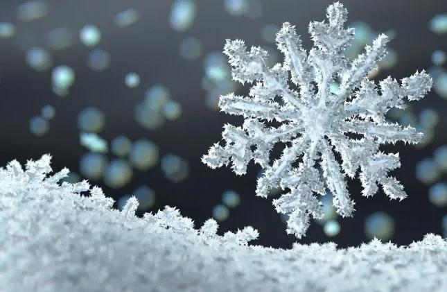 Zaqatalaya qar YAĞDI – FOTO