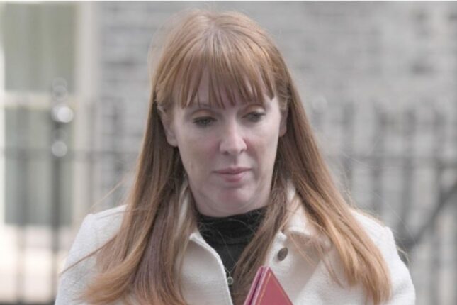 Baş nazirin müavini vergi qalmaqalına görə İSTEFA VERDİ