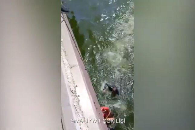 Bulvarda dənizdə batan qadın xilas edildi – VİDEO