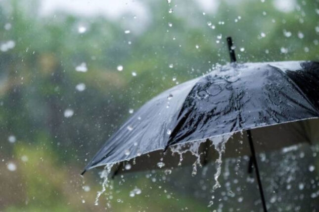 Ən çox yağış hansı rayonlara yağıb?