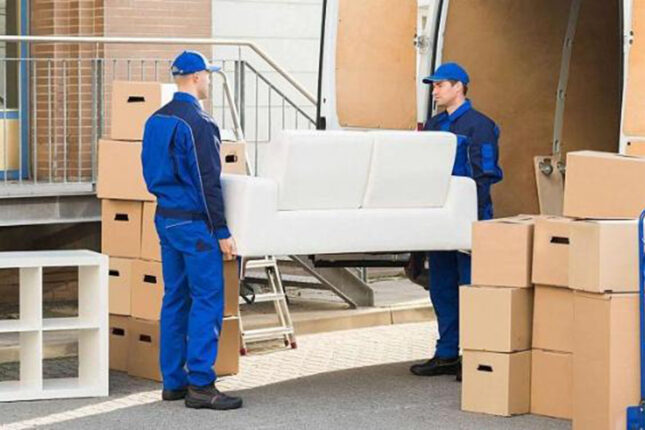 Həmin anlayışlar qanunvericiliklə müəyyənləşəcək