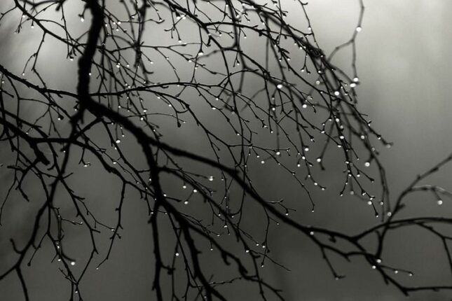 Leysan yağır, duman müşahidə olunur