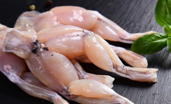 Azərbaycandan Avropaya 20 tona yaxın qurbağa əti ixrac olunub (VİDEO)