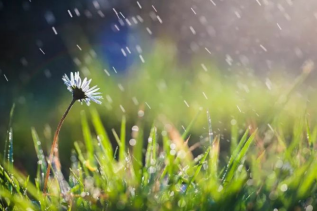 Sabah yağış yağacaq