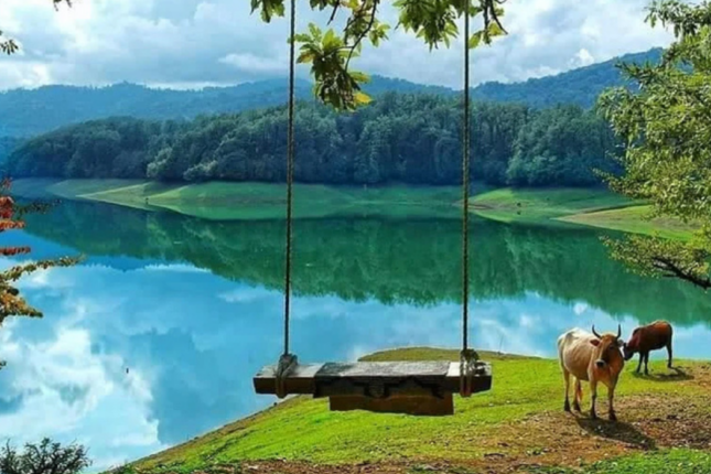 “Xanbulan” 5000 manat cərimə edildi