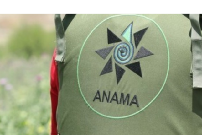 Laçında vəzifəli şəxslər həbs edildi