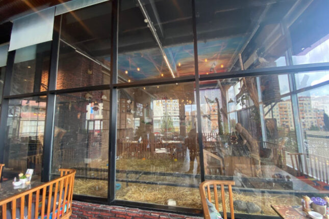 “Kolorit”də heyvanlar qanunsuz saxlanılırmış – Fotolar