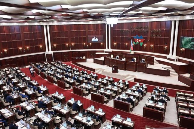 Deputat kimdir: qanun yaradan, yoxsa şəkil həvəskarı?