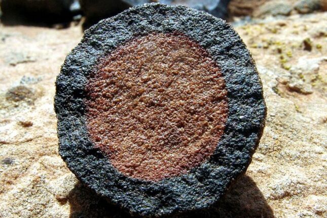 Çində 150 min illik borular tapıldı: alimlər çaşqınlıq içində